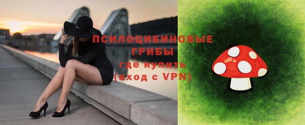 крисы Белокуриха
