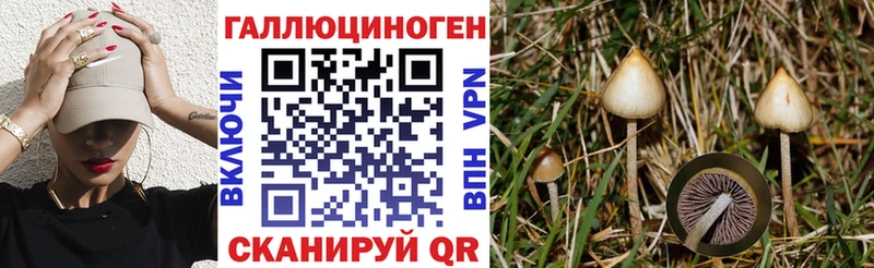 Псилоцибиновые грибы мухоморы  даркнет телеграм  Коряжма  закладки  мега ССЫЛКА 